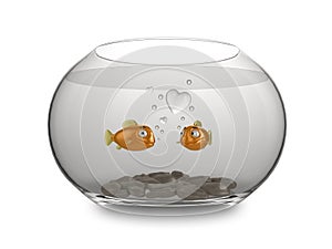 Goldfish love