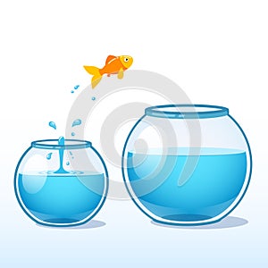 Goldfish making leap of faith to a bigger fishbowl photo