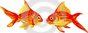 Goldfish Pair