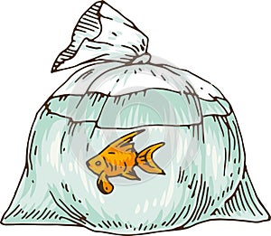 Goldfish in a Plastic Bag