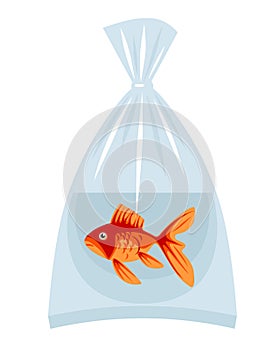 Goldfish in a plastic bag with water