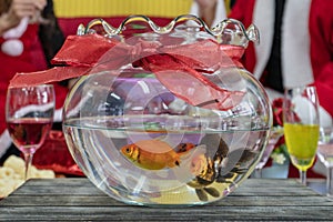 Goldfish in a round aquarium