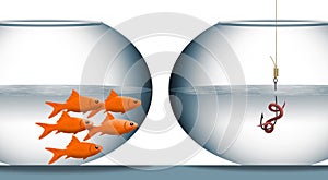 Goldfish are seen in one fish bowl looking at a hook and worm in a different bowl