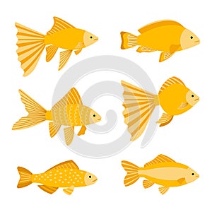 Goldfish set isolated on white background. Yellow gold fishes icons vector illustration