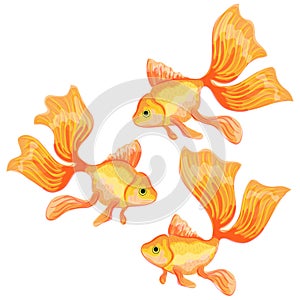 Set of vector illustrations of fish