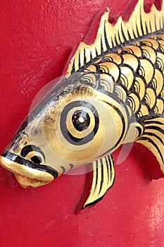 Goldfish statue texture in temple