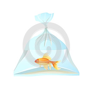 Goldfish swim in plastic bag, tied with rope.