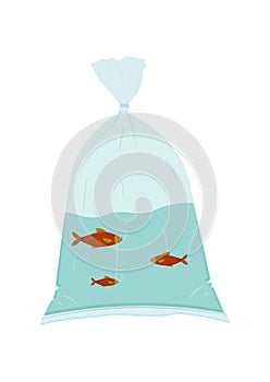 Goldfish Swim in a Plastic Bag Vector Isolated on White Background