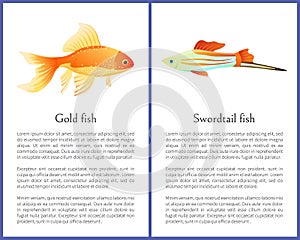 Goldfish and Swordtail Fish Isolated on White