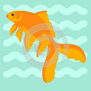 Goldfish , vector illustration, flat style, side