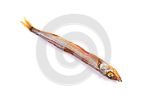 Goldish anchovy. photo