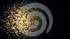 goldish surface in darkness, biological curves forms - abstract 3D rendering