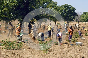 With the goldmine of Poura