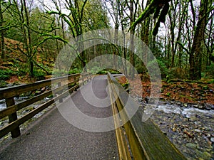 Goldstream Park, fall photo