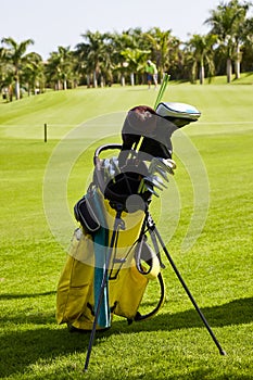 Golf bag and clubs on the edge of the green of a golf course