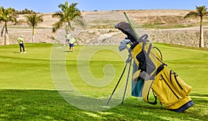 Golf bag and clubs on the edge of the green of a golf course