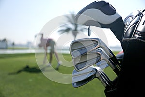 Golf bag with clubs on the plan and with the player before swing in the background photo