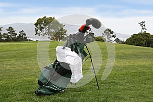 Golf Bag on Course