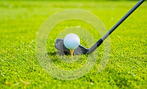 Golf ball ang club on golf green grass natural fairway