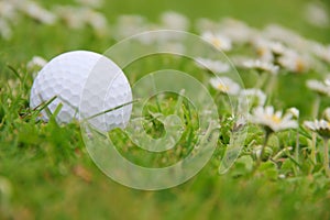 Golf ball on course