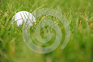 Golf ball on course