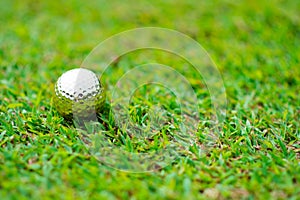 golf-ball on course