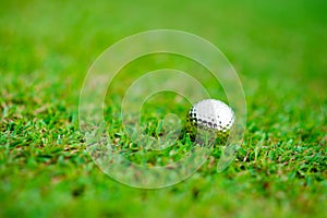 golf-ball on course