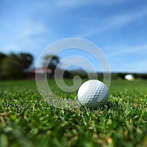 Golf-ball on course photo