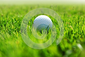 Golf-ball on course