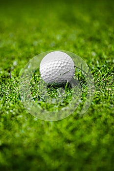 Golf ball on course