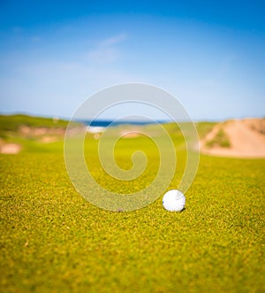 Golf ball on a fairway