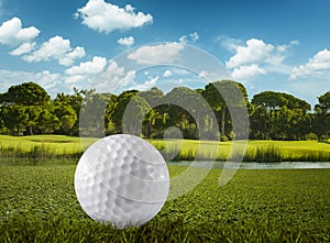 Golf ball and the golf course