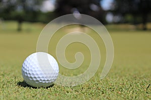 Golf ball at golfing course in Michigan