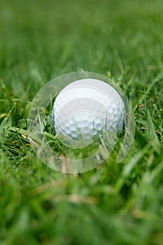 Golf-ball in the grass