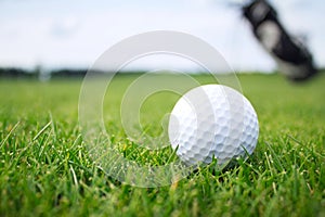 Golf ball in grass