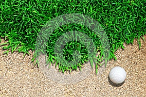 Golf Ball on Grass