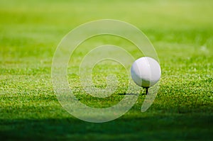 Golf ball on grass