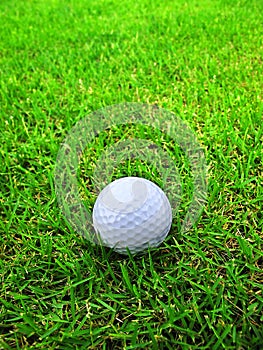 Golf ball on the grass