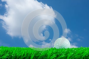 Golf ball on grass