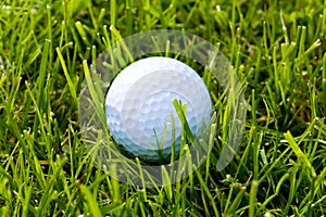 Golf Ball and Grass