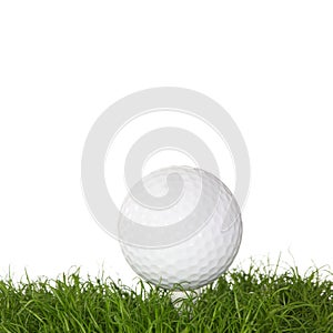 A golf ball in the grass