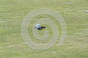 Golf ball on the grass with a few centimeters left to fall into the hole