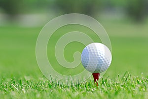 Golf ball in grass on the field