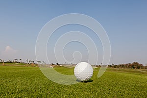 Golf ball on grass with the green background.