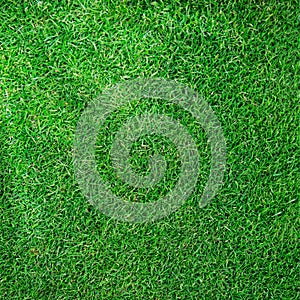 Golf Ball on the Grass for web background