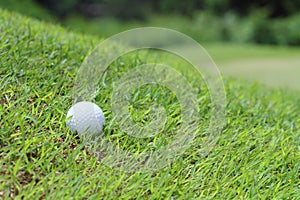 Golf ball on green.