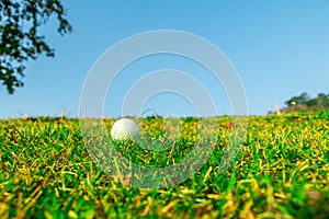 Golf ball on the green