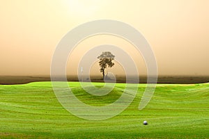 Golf ball on green