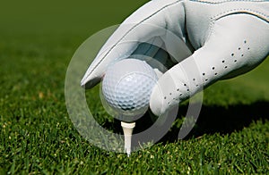 Golf ball on green course. Hand putting golf ball on tee in golf course.