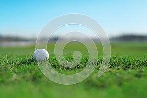 Golf ball on a green fairway grass